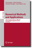 Maria Datcheva, Ivan Georgiev, Krassimir Georgiev, Krassimir Georgiev et al, Geno Nikolov - Numerical Methods and Applications