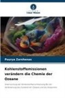 Pourya Zarshenas - Kohlenstoffemissionen verändern die Chemie der Ozeane