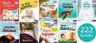 Editor - Essential Letters & Sounds: Essential Phonic Readers: Ol 1 7 Review