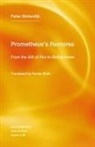Hunter Bolin, Peter Sloterdijk - Prometheus's Remorse