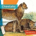 Rachael Hanel - Cheetahs