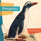 Rachael Hanel - Penguins