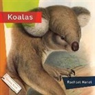 Rachael Hanel - Koalas