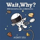 Audrey Bea, Adamm Paul Bueno - Wait, Why?