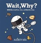 Audrey Bea, Adamm Paul Bueno - Wait, Why?