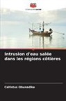 Callistus Obunadike - Intrusion d'eau salée dans les régions côtières