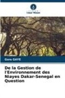 Gora Gaye - De la Gestion de l'Environnement des Niayes Dakar-Senegal en Question