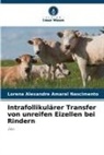 Lorena Alexandre Amaral Nascimento - Intrafollikulärer Transfer von unreifen Eizellen bei Rindern