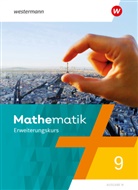 Doreen Groth, Jochen Herling, Karl-Heinz Kuhlmann, Uwe Scheele - Mathematik - Ausgabe N 2020