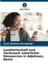 Cossi Modeste Houngbédji - Landwirtschaft und Verbrauch natürlicher Ressourcen in Adjohoun, Benin