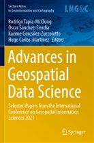 Hugo Carlos-Martínez, Karime González-Zuccolotto, González-Zuccolotto et al, Oscar Sánchez-Siordia, Rodrigo Tapia-McClung - Advances in Geospatial Data Science