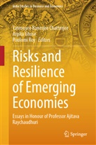 Tanmoyee Banerjee Chatterjee, Arpita Ghose, Poulomi Roy - Risks and Resilience of Emerging Economies