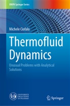 Michele Ciofalo - Thermofluid Dynamics
