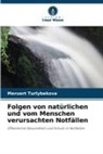Meruert Turlybekova - Folgen von natürlichen und vom Menschen verursachten Notfällen