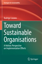 Rodrigo Lozano - Toward Sustainable Organisations