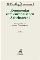 Martin Franzen, Inken Gallner, Hartmut Oetker, Hartmut Oetker u a - Kommentar zum europäischen Arbeitsrecht
