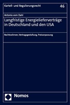 Antonia vom Dahl, Antonia vom Dahl - Langfristige Energielieferverträge in Deutschland und den USA