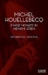 Michel Houellebecq, Stephan Kleiner - Einige Monate in meinem Leben