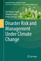 Pritha Acharya, Akhilesh Gupta, Anil Kumar Gupta - Disaster Risk and Management Under Climate Change