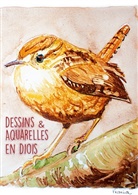 Martine L . Mireille A . Frania . Paula . Rozenn . Sandrine . Caroline . Alma N . Benjamin . Virginie . Julie . Atelier Dessin Aquarelle, Noélie . Cath Bastide . Jean Bezelgues. Guy Nicod . Martine D . Jérémie . Marie Luce . Yvonne Chaudet . Odile . Atelier Dessin Aquarelle, Atelier Dessin Aquarelle - Dessins & Aquarelles en Diois