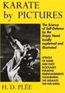 H. D. Plée - Karate by Pictures