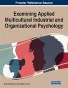 Bryan Christiansen, Angela M. Even - Examining Applied Multicultural Industrial and Organizational Psychology
