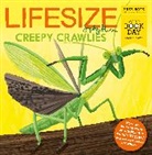 Sophy Henn, Henn Sophy - Lifesize Creepy Crawlies