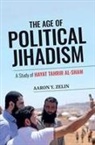 Aaron Y. Zelin - The Age of Political Jihadism