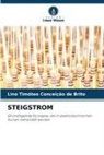 Lino Timóteo Conceição de Brito - STEIGSTROM