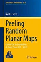 Nicolas Curien - Peeling Random Planar Maps