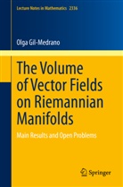Olga Gil-Medrano - The Volume of Vector Fields on Riemannian Manifolds