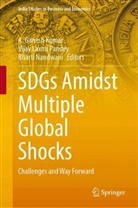 A Ganesh Kumar, A. Ganesh Kumar, Vijay Laxmi Pandey, Bharti Nandwani, Vijay Laxmi Pandey - SDGs Amidst Multiple Global Shocks
