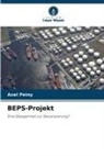 Axel Peiny - BEPS-Projekt