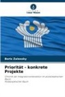 Boris Zalessky - Priorität - konkrete Projekte
