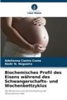 Adelianna Castro Costa, Nadir N Nogueira, Nadir N. Nogueira - Biochemisches Profil des Eisens während des Schwangerschafts- und Wochenbettzyklus