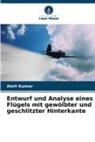 Amit Kumar - Entwurf und Analyse eines Flügels mit gewölbter und geschlitzter Hinterkante