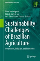 Ana Flavia Barros-Platiau, Ana Flávia Barros-Platiau, Camila Dias de Sá, Camila Dias de Sá, Ana Flávia Barros-Platiau, Niels Søndergaard - Sustainability Challenges of Brazilian Agriculture