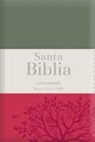 Reina Valera 1960 - Biblia Rvr60 Letra Grande - Tamaño Manual / Tricolor: Gris/Crema/Rojo Con Indice Y Cierre (Bible Rvr60 Lp/Pocket Size - Tricolor: Grey/Cream/Red with Index and Closure)