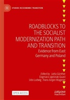 Jutta Günther, Dagmara Jaje¿niak-Quast, Dagmara Jajeniak-Quast, Dagmara Jajesniak-Quast, Udo Ludwig, Udo Ludwig et al... - Roadblocks to the Socialist Modernization Path and Transition