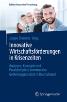 Jürgen Stember - Innovative Wirtschaftsförderungen in Krisenzeiten