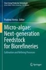 Pradeep Verma - Micro-algae: Next-generation Feedstock for Biorefineries