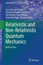 Gage Eichman, Hira Farooq, Maricela Fernández Lozada, Luis Grave de Peralta, Gabrielle Prime, Abhishek Singh - Relativistic and Non-Relativistic Quantum Mechanics