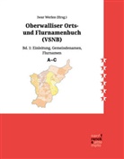 Narr Francke Attempto, Iwar Werlen - Oberwalliser Orts- und Flurnamenbuch (VSNB)