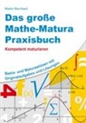 Martin Bernhard, Martin Bernhard - Das große Mathe-Matura Praxisbuch