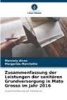 Marciely Alves, Margarida Marchetto - Zusammenfassung der Leistungen der sanitären Grundversorgung in Mato Grosso im Jahr 2016