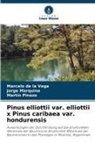 Marcelo de la Vega, Jorge Marquina, Martín Pinazo - Pinus elliottii var. elliottii x Pinus caribaea var. hondurensis