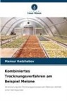 Mansur Radzhabov - Kombiniertes Trocknungsverfahren am Beispiel Melone