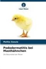 Malika Zaouia - Pododermatitis bei Masthähnchen