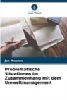 Joe Mwelwa - Problematische Situationen im Zusammenhang mit dem Umweltmanagement