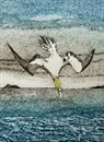 Wild Birds Pocket Notebook: Gannet